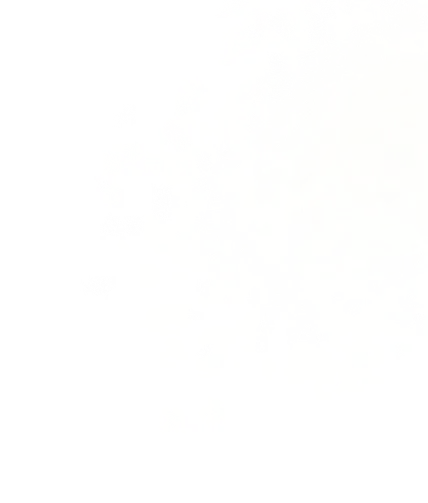 Decorative blurred background image