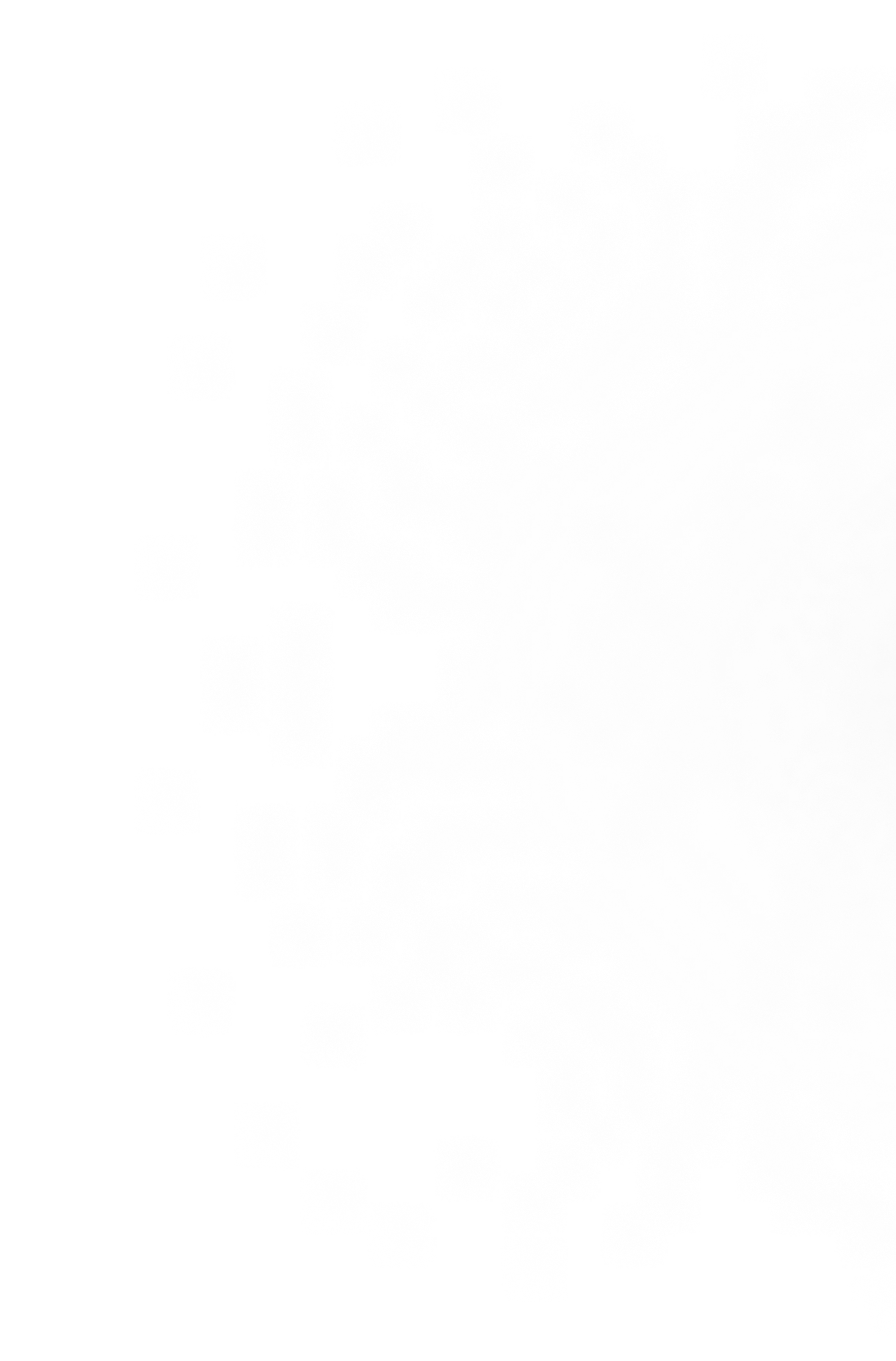 Decorative blurred background image